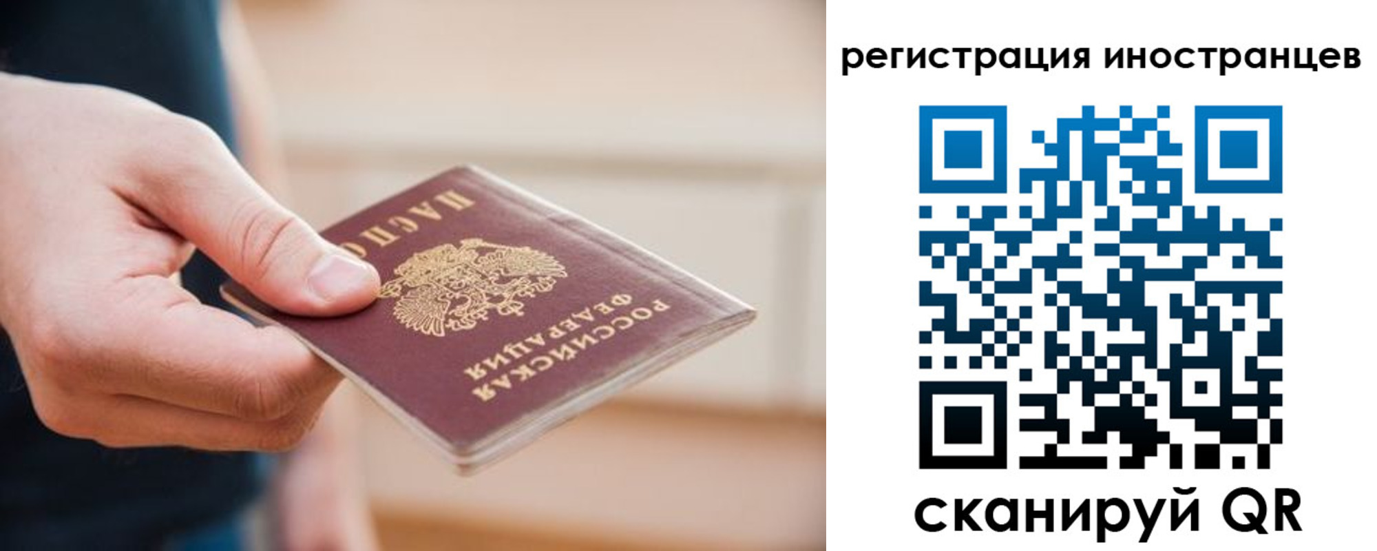 прописка гарантия в Нововоронеже